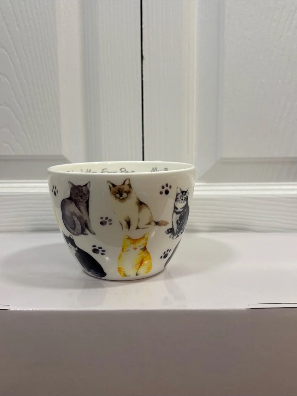 Cat Lover 16 oz Bone China Novelty Mug My Best Friend Coffee Tea Cup